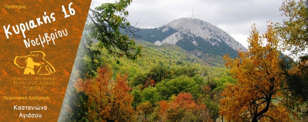 Πεζοπορία στην περιοχή Καστανιώνα της Αγιάσου Κυριακή 16 Νοεμβρίου 2025