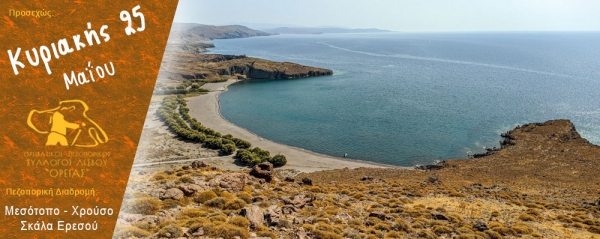 Πεζοπορίες από τον Μεσότοπο στον Χρούσο και στην Σκάλα Ερεσού την Κυριακή 25 Μαΐου 2025
