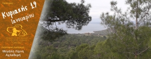 Πεζοπορία 19 Ιανουαρίου 2020