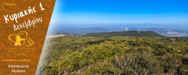 Πεζοπορίες στον Καστανιώνα της Αγιάσου την Κυριακή 1 Δεκεμβρίου 2024